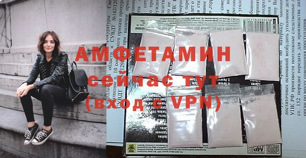 ECSTASY Алзамай