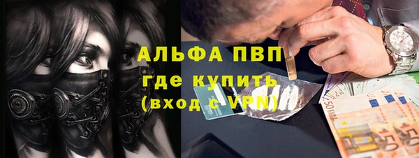 ECSTASY Алзамай